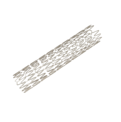 PTCA Guide Wire (Workhorse)